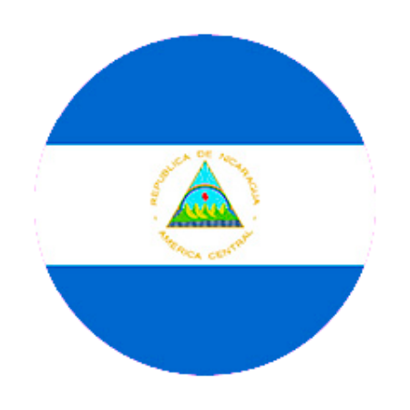 Logotipo del grupo Nicaragua